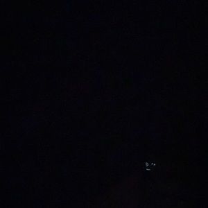 Meet your Posher, Eileen